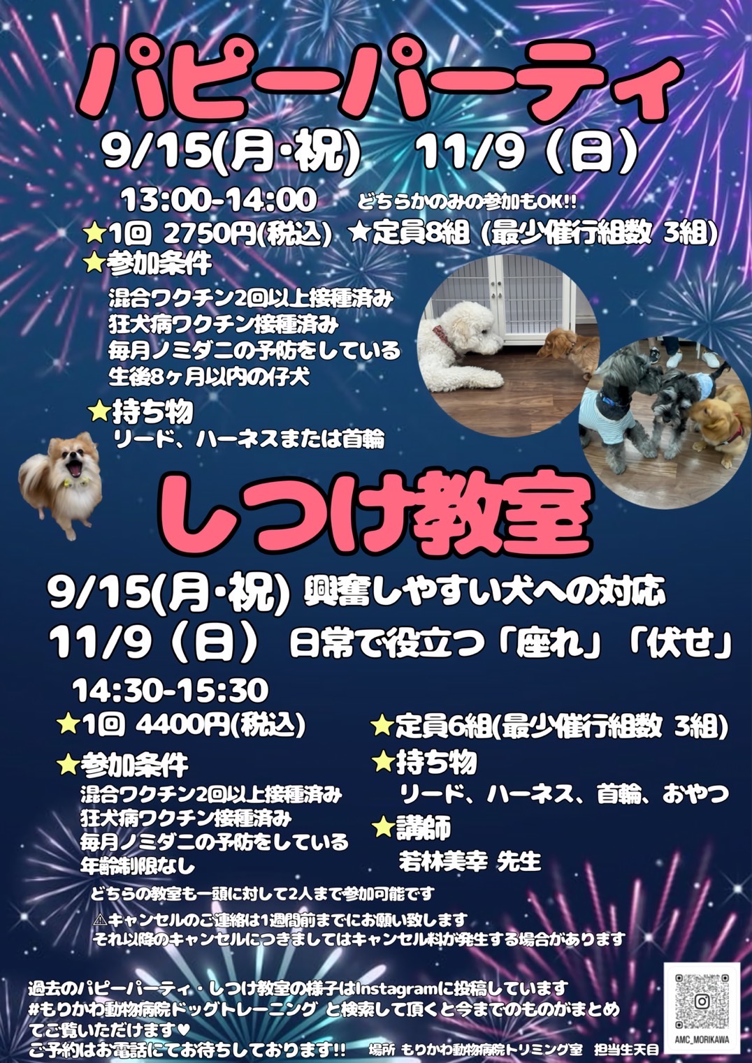 9月・11月もりかわ動物病院しつけ教室