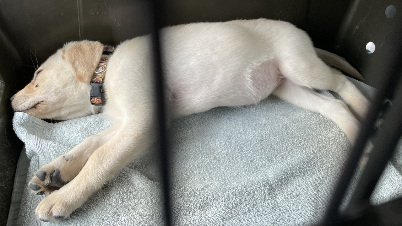 明日で生後３ヶ月！